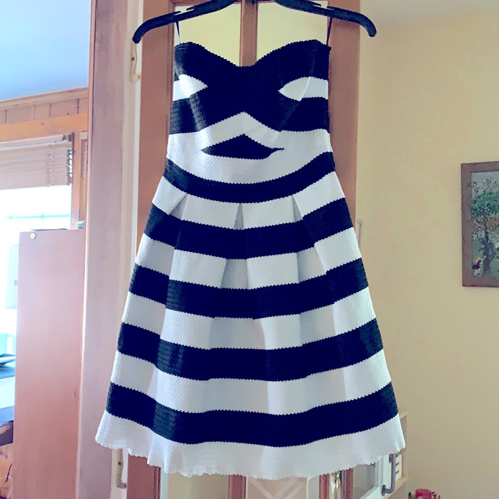 Express elastic stripe fit and flare dress